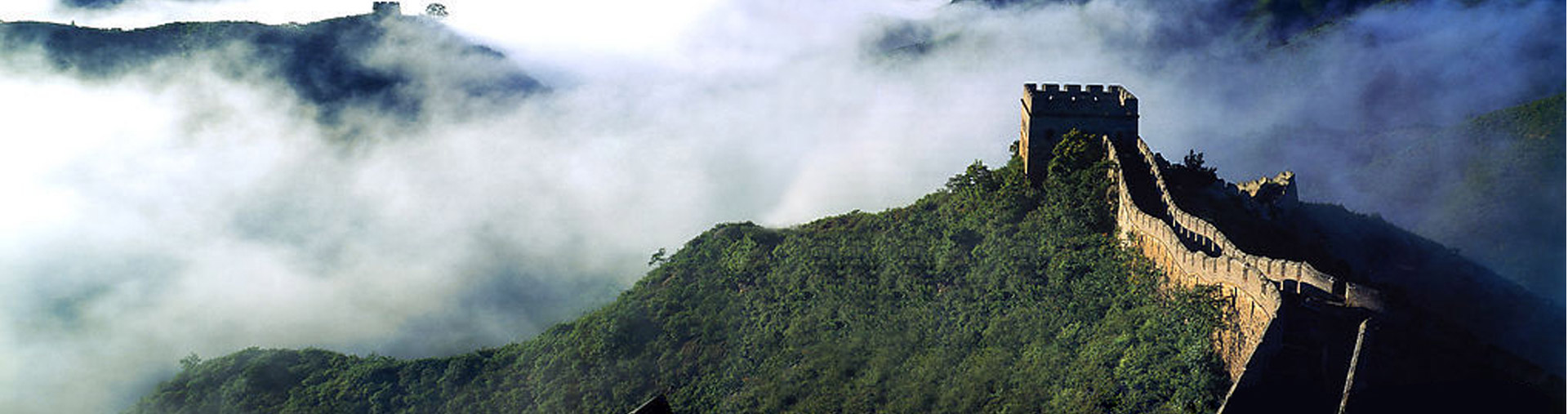 媒體報道